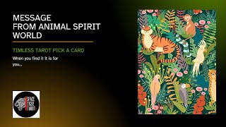 #tarot #pickacard MESSAGE FROM ANIMAL SPIRIT WORLD