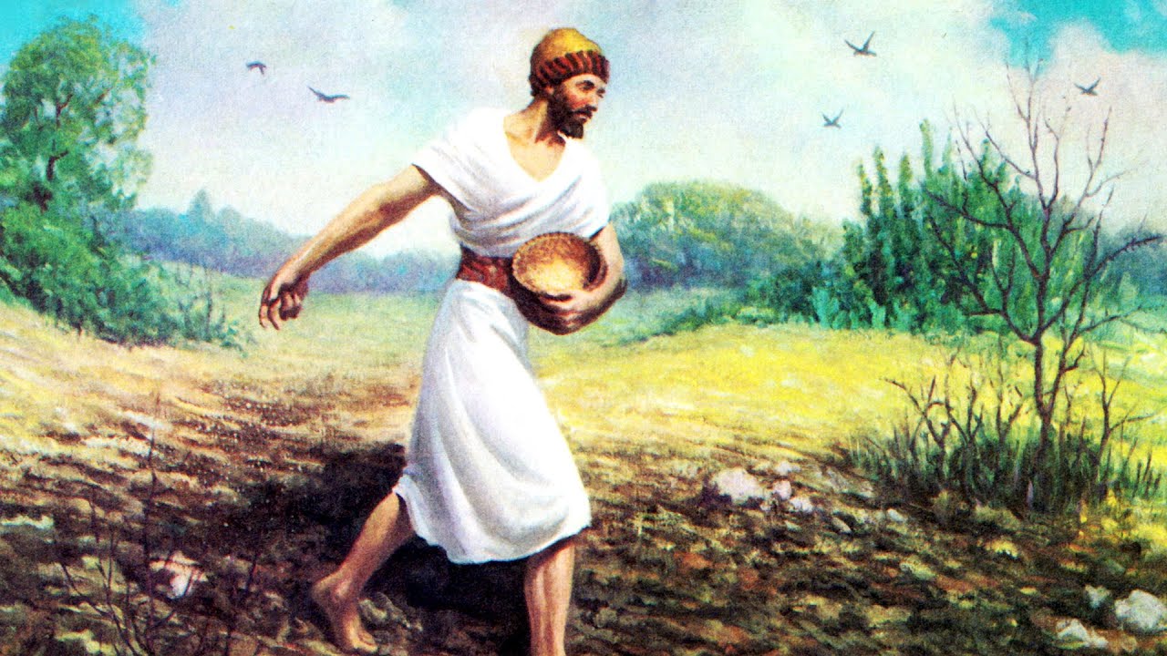 The Parable Of The Sower - YouTube