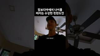 핀란드 스킨을 구매한 한국인 #레오티비 #여행