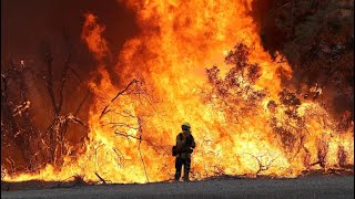 Kenneth - Fire Arsonist - Hollywood Hills - California Fire