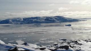 More icebergs in Tasiusaq Greenland