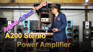 Angela-Gilbert Yeung A200 Power Amp December 2024. Features and How it was Built.