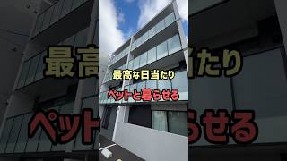 【札幌お部屋探し】最高な日当たりでペットと暮らせるお部屋をご紹介!! #賃貸 #札幌マンション #札幌賃貸マンション #不動産 #札幌不動産 #札幌