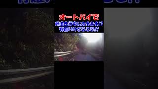 バイクでツーリング中あるある！？峠道走行中に車が譲ってくれるのは有難いけどこの場所で！？ #バイク #オートバイ #ツーリング #峠走 #山道  #正丸峠 #譲り合い #あるある