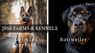 Every Dog Breed Explained (Part 2)| JSSS Farms & Kennels