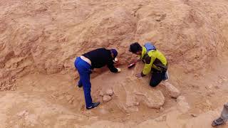 #05: Flaming Cliffs (Bayanzag), Omnogovi, Mongolia