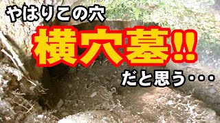 これはやはり横穴墓に違いない・・・かな？