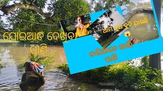 ଚାରିଆଡେ ଖାଲି pani 😱 ଆମ କୂଅ ବୁଡି ଯାଇଛି #odiavlog #cuttack #pankylife style