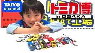 トミカ博in大阪2016で買ったトミカ大量開封♥TOMICA Expo in OSAKA