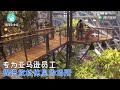 亚马逊公司建“热带雨林”办公室 耗资40亿美元