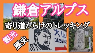 【低山ハイキング/鎌倉アルプス】歴史散策や観光等見どころ満載の山旅/KAMAKURA