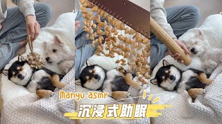 （纯享版）曼玉Manyu\u0026小白Bai沉浸式助眠ASMR