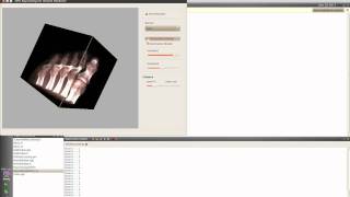 GPU based Ray Casting.avi