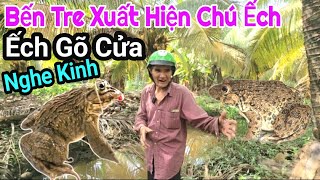 Bến Tre XUẤT HIỆN THÊM ẾCH Giống Như Của Em Sang ẾCH GÕ CỦA, NGHE KINH Ai Cũng Hết Hồn / Thuận Phạm