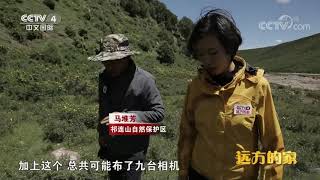 《远方的家》 20191005 大好河山 丝路漫漫出阳关| CCTV中文国际