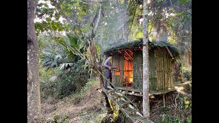 Living Alone in the Forest | Building a Beautiful Shelter | Foraging for Natural Food