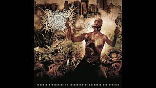 Propitious Vegetation - Induced Spoliation Of Disseminated Euphoric Cultivation (Full Album)