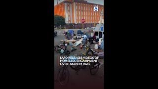 LAPD releases videos of homeless encampment overtaken by rats