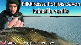 Ice fishing at a trophy perch spot and checking the winter nets in beautiful eastern Finland