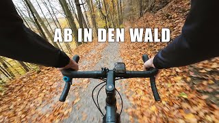 Graveltour im Herbstwald mit dem CUBE Nuroad Race! Dank Shimano Shadow Plus über Stock und Stein!