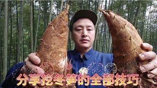 挖冬笋的全部技巧 ，今天分享给大家 ，明天你也是师傅