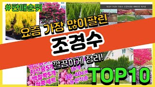 조경수 추천 판매순위 Top10 || 가격 평점 후기 비교