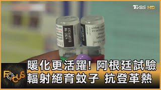 暖化更活躍! 阿根廷試驗輻射絕育蚊子 抗登革熱｜方念華｜FOCUS全球新聞 20230418@tvbsfocus