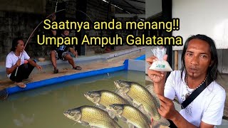 ini racikan umpan yg bikin melongo para pemancing Galatama