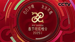 2025年总台春晚舞美发布 | CCTV春晚