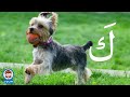 اغنية الحروف بالحركات | انشودة  الحروف الهجائية بالحركات | Arabic alphabet song