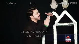 Ali Hamza  new Stutas watsapp ( Nohay )