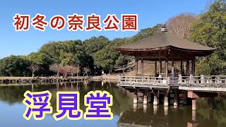 初冬の奈良公園 浮見堂