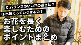 お花を綺麗に長く飾る方法 \u0026 ラナンキュラスでポイントまとめ！