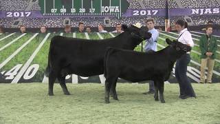 NJAS 2017: Angus Cow-Calf Pairs