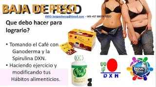 cafe lingzhi para adelgazar