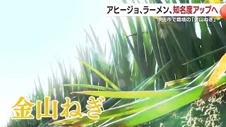 鹿児島・伊佐市で栽培の「金山ねぎ」  アヒージョ、ラーメン、多様なメニューで知名度アップへ (25/02/05 18:38)