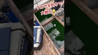 ワカサギ釣りで大物が！