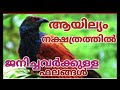 ആയില്യം നക്ഷത്രത്തിന്റെ അത്ഭുതകഥ ayilyam star 🕉️ jyothisham astrology