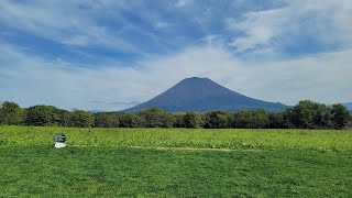 北海道で4泊5日の大冒険をしてきた(2024年10月)