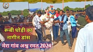 Rubi horse dance रूबी घोड़ी का नागीन डांस Mera horse dance 2024