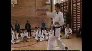 Shotokan Karate Brown \u0026 Black Belt Kihon Combination