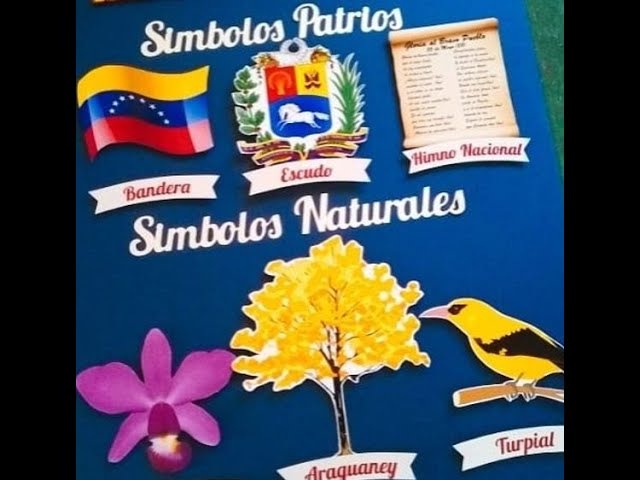 Simbolos Patrios Naturales De Venezuela Y Su Significado Infoupdate Org Simbolos Patrios Naturales De Venezuela Y Su Significado Infoupdate Org