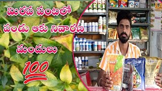 Chilli Nutrients Deficiency Control|Mirapa pantalo Panduaku tegulu Nivarana|Rythu Manishi|Telugu