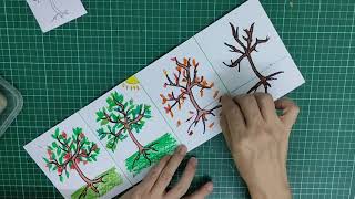 Y4.5 Four Seasons - Trees Drawing and Colouring