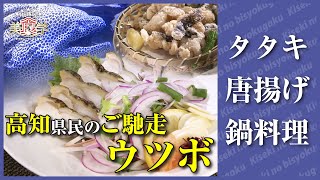 タタキ、唐揚げ、鍋料理…ウツボは高知の秘密食材【奇跡の美食学】