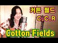 Cotton Fields (C.C.R) - 드디어나왔다! 기다리던 그 영상 ★강지민★ Kang jimin