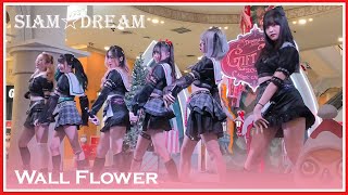 Siam☆Dream  -Wallflower [Gift Fest 2022] @Terminal21 Asok