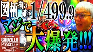 【大量出玉回!?】 1/499.9のeゴジエヴァ2でヤングがマジで大爆発!!!【eゴジエヴァ2】