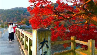 【京都 Kyoto】嵐山朝の風景 朝日と渡月橋🍁2019年12月10日(火) 🌟Autumn in Arashiyama✨ 岚山