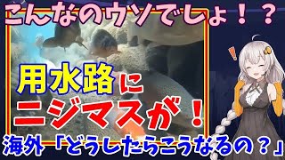 【海外の反応】海外｢日本でしかありえない！｣日本の用水路の光景に外国人が衝撃!! 清潔な日本ならではの風景に世界が驚愕した！【日本と世界の気になる話題】